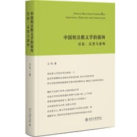中国刑法教义学的面向：经验、反思与建构 - 无名图书