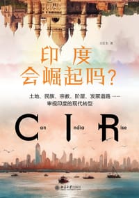 书籍 印度会崛起吗？的封面