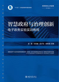 书籍 智慧政府与治理创新的封面