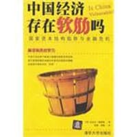 书籍 中国经济存在软肋吗的封面