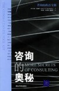 书籍 咨询的奥秘的封面