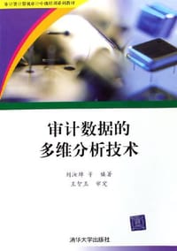 审计数据的多维分析技术