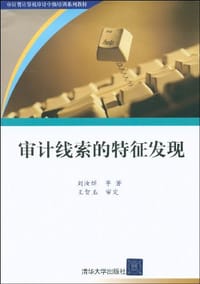 审计线索的特征发现