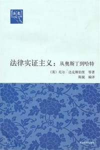书籍 法律实证主义的封面