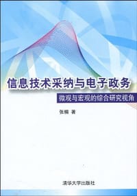 书籍 信息技术采纳与电子政务的封面