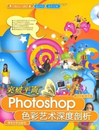 书籍 突破平面的封面