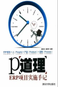 P道理：ERP项目实施手记 - 童继龙,童继明