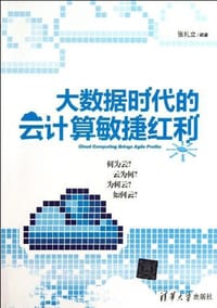 书籍 大数据时代的云计算敏捷红利的封面