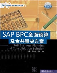 SAP BPC 全面预算及合并解决方案