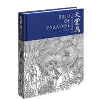 天堂鸟 : 丁绍光艺术范式 - 胡笳