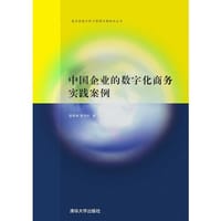 中国企业的数字化商务实践案例