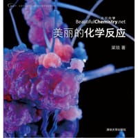 书籍 美丽的化学反应的封面