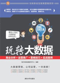 书籍 玩转大数据：商业分析＋运营推广＋营销技巧＋实战案例的封面