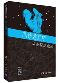 书籍 刚好遇见你：从小说到电影的封面