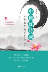 书籍 中国好诗词的封面