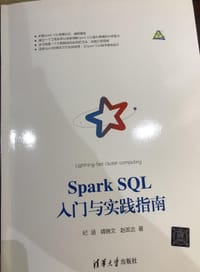 书籍 spark sql入门与实践指南的封面