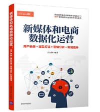 新媒体和电商数据化运营 用户画像+爆款打造+营销分析+利润提升（Excel版）