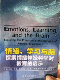 情绪、学习与脑：探索情绪神经科学对教育的启示 - 【美】玛丽·海伦·爱默迪诺·杨