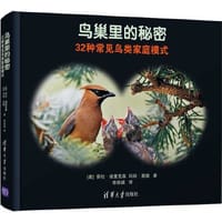 鸟巢里的秘密