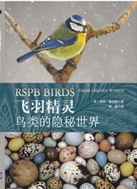 飞羽精灵 - [英]彼得•霍尔顿