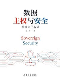 书籍 数据主权与安全：跨境电子取证的封面