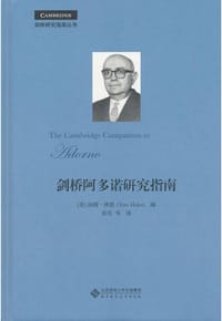 剑桥阿多诺研究指南 - [美] 汤姆·休恩 编
