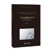 大小团体动力学