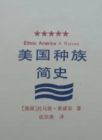 书籍 美国种族简史的封面
