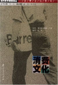 书籍 消费文化的封面