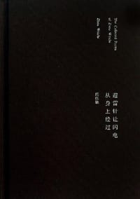 书籍 避雷针让闪电从身上经过的封面