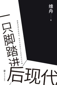 书籍 一只脚踏进后现代的封面