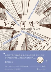 它乡何处 - 黄宗洁