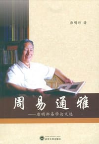 书籍 周易通雅的封面
