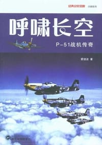 呼啸长空