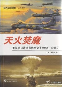 书籍 天火焚魔的封面