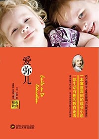 书籍 爱弥儿的封面
