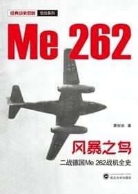 风暴之鸟