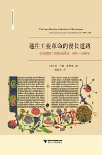 通往工业革命的漫长道路 - [荷]扬· 卢滕· 范赞登