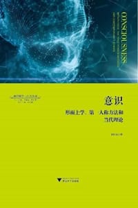 书籍 意识：形而上学、第一人称方法和当代理论的封面