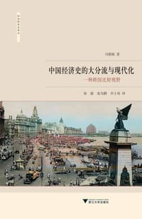 中国经济史的大分流与现代化 - 马德斌