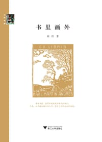 书籍 书里画外的封面