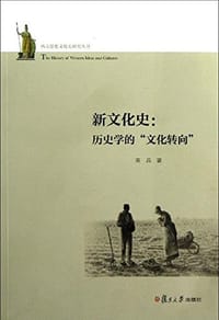 书籍 新文化史的封面