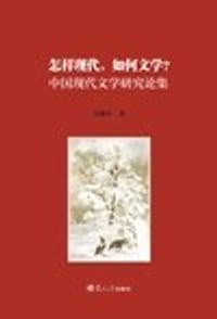 书籍 怎样现代，如何文学？的封面