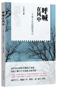 呼喊在风中 - 王磊光