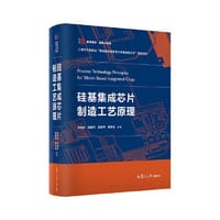 硅基集成芯片制造工艺原理