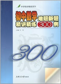 书籍 初中数学难题新题精讲精练300例的封面