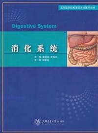 消化系统 - 无名图书