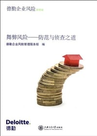 书籍 舞弊风险的封面