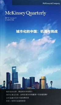 书籍 城市化的中国的封面