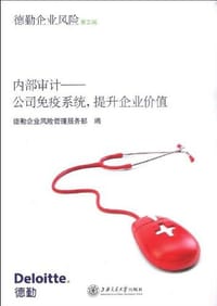 书籍 内部审计的封面